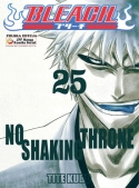Bleach Tom 25