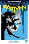 Odrodzenie - Batman - 08: Zimne dni