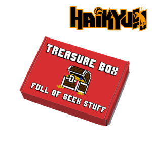 NORMAL TREASURE BOX - HAIKYU