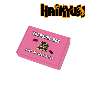 MINI TREASURE BOX - HAIKYU