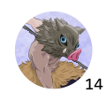 DS14.png
