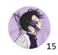 DS15.png