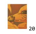 N20.png