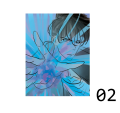 SL2.png