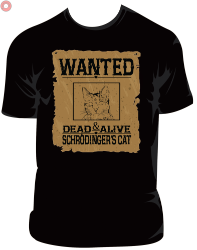 kot schrodingera.png